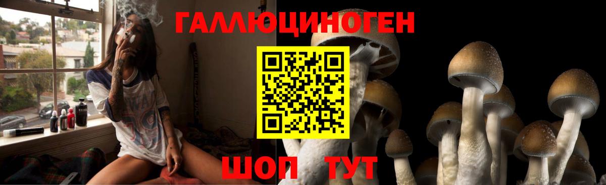 Псилоцибиновые грибы Psilocybe  Вход с VPN  Новодвинск 